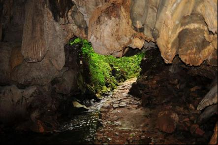 Entrada da Caverna - Petar - Foto: Aivuk (licen