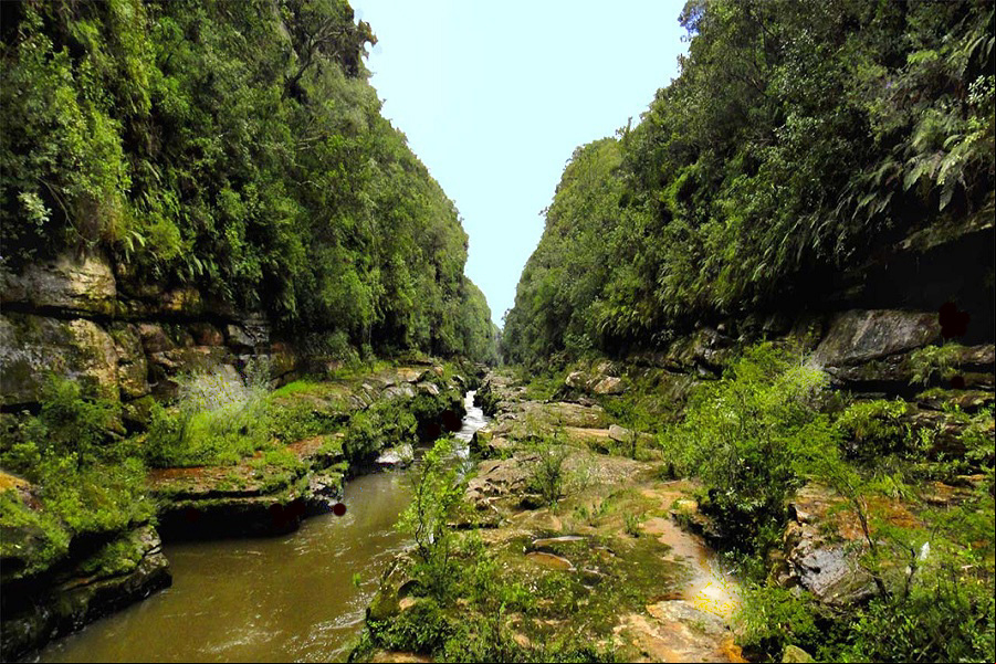 Parque Estadual do Vale do Cod